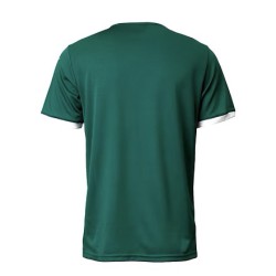 SE Palmeiras heimtrikot fan-version 2025-26