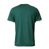 Maillot SE Palmeiras domicile version fan 2025-26