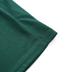 Maglia SE Palmeiras home versione fan 2025-26