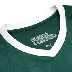 Maillot SE Palmeiras domicile version fan 2025-26