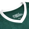 Maillot SE Palmeiras domicile version fan 2025-26