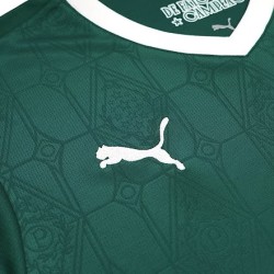 SE Palmeiras Home Fan Version Shirt 2025-26