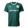 Maglia SE Palmeiras home versione fan 2025-26