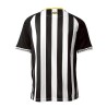 Santos Away Fan Version Shirt 2025-26