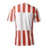Atlético de Madrid Heimtrikot Spieler-Version 2025-26