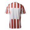 Maillot Atlético de Madrid domicile version fan 2025-26
