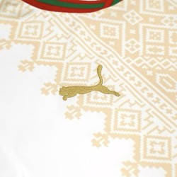 Morocco 2026 World Cup Away Fan Version Shirt