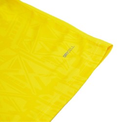 Maillot Borussia Dortmund domicile version fan 2026-27